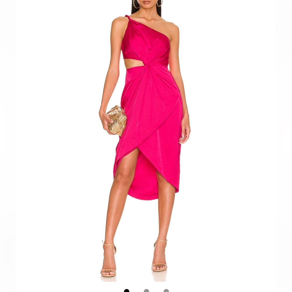 Amur midi dress. Only worn twice from revolve. Mild stain.